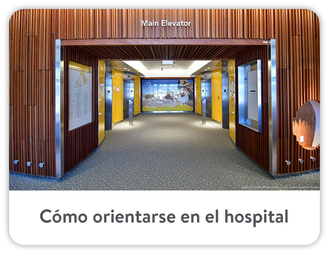 Cómo orientarse en el hospital